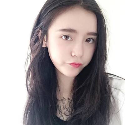 口袋宠物超世代破解版下载